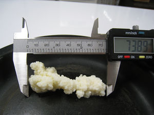 Kefir grain shuplera faa2012.jpg