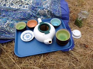 Tactical Tea on the Field - Camp 2015