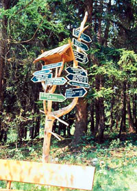Photo of bunch of signposts