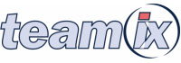 Teamix Logo