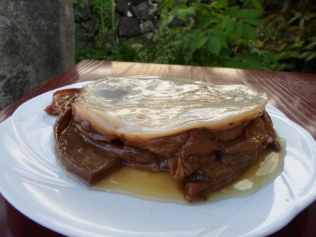 Kombucha SCOBY (culture taken out from the brew)