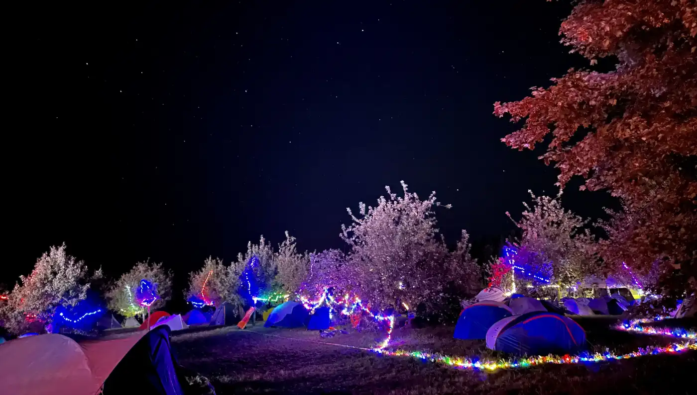 Bild von der Apfelwiese