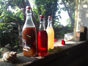 fermented_drinks_tashiteleh_bottles_stone_window_2013